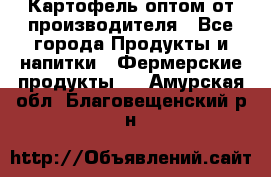 Картофель оптом от производителя - Все города Продукты и напитки » Фермерские продукты   . Амурская обл.,Благовещенский р-н